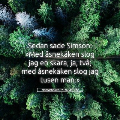 Picture 05 - Domarboken 15:16 SV1917 - Sedan sade Simson: »Med åsnekäken slog jag en - Bible Verse Picture
