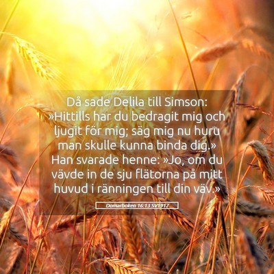 Picture 05 - Domarboken 16:13 SV1917 - Då sade Delila till Simson: »Hittills har du - Bible Verse Picture