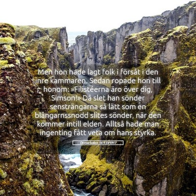 Picture 05 - Domarboken 16:9 SV1917 - Men hon hade lagt folk i försåt i den inre - Bible Verse Picture