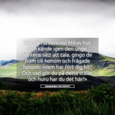 Picture 05 - Domarboken 18:3 SV1917 - När de nu voro vid Mikas hus och kände igen den - Bible Verse Picture