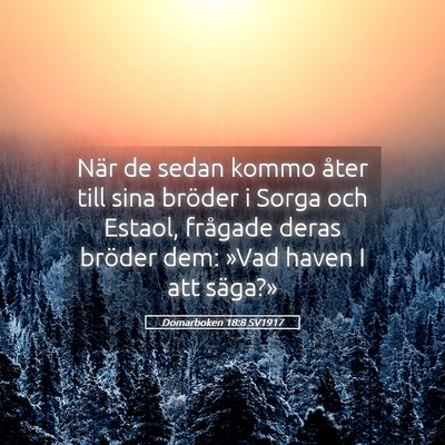 Picture 05 - Domarboken 18:8 SV1917 - När de sedan kommo åter till sina bröder i - Bible Verse Picture