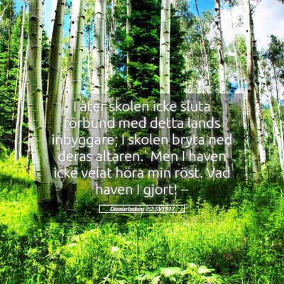 Picture 05 - Domarboken 2:2 SV1917 - I åter skolen icke sluta förbund med detta - Bible Verse Picture