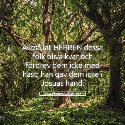 Picture 05 - Domarboken 2:23 SV1917 - Alltså lät HERREN dessa folk bliva kvar och - Bible Verse Picture
