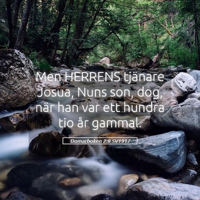 Picture 05 - Domarboken 2:8 SV1917 - Men HERRENS tjänare Josua, Nuns son, dog, när - Bible Verse Picture