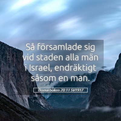 Picture 05 - Domarboken 20:11 SV1917 - Så församlade sig vid staden alla män i - Bible Verse Picture