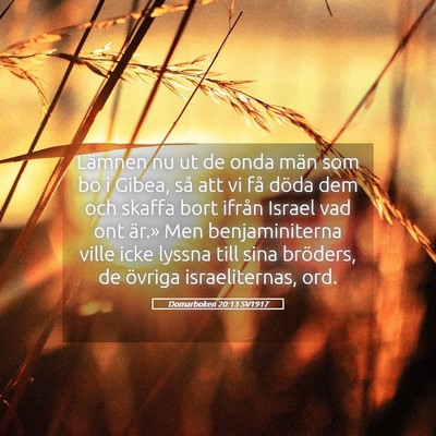 Picture 05 - Domarboken 20:13 SV1917 - Lämnen nu ut de onda män som bo i Gibea, så - Bible Verse Picture