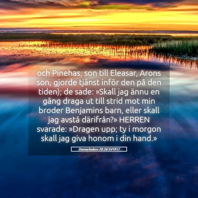 Picture 05 - Domarboken 20:28 SV1917 - och Pinehas, son till Eleasar, Arons son, gjorde - Bible Verse Picture