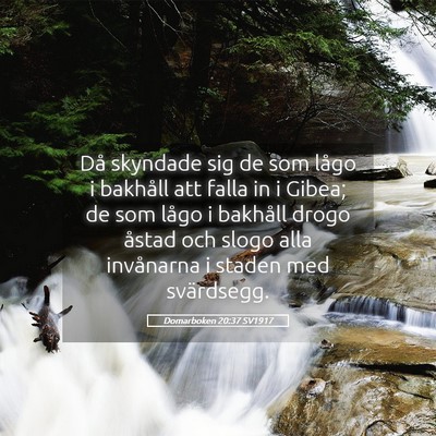 Picture 05 - Domarboken 20:37 SV1917 - Då skyndade sig de som lågo i bakhåll att - Bible Verse Picture