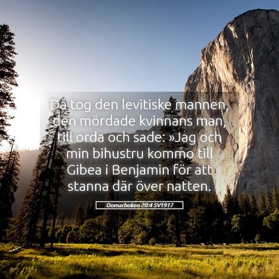 Picture 05 - Domarboken 20:4 SV1917 - Då tog den levitiske mannen, den mördade - Bible Verse Picture