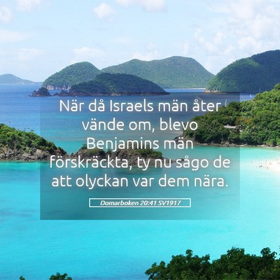 Picture 05 - Domarboken 20:41 SV1917 - När då Israels män åter vände om, blevo - Bible Verse Picture