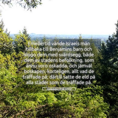 Picture 05 - Domarboken 20:48 SV1917 - Emellertid vände Israels män tillbaka till - Bible Verse Picture