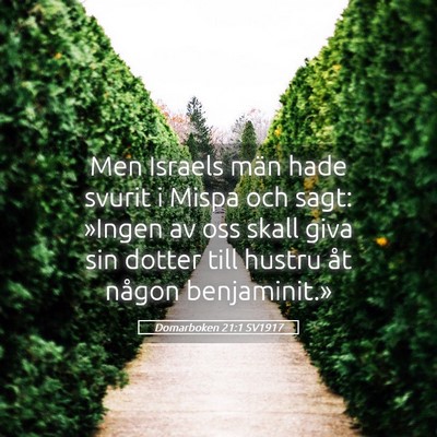 Picture 05 - Domarboken 21:1 SV1917 - Men Israels män hade svurit i Mispa och sagt: - Bible Verse Picture