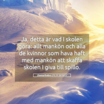 Picture 05 - Domarboken 21:11 SV1917 - Ja, detta är vad I skolen göra: allt mankön - Bible Verse Picture