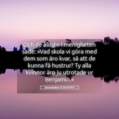 Picture 05 - Domarboken 21:16 SV1917 - Och de äldste i menigheten sade: »Vad skola vi - Bible Verse Picture