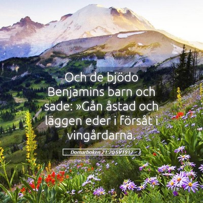 Picture 05 - Domarboken 21:20 SV1917 - Och de bjödo Benjamins barn och sade: »Gån - Bible Verse Picture