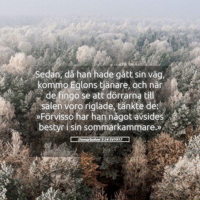 Picture 05 - Domarboken 3:24 SV1917 - Sedan, då han hade gått sin väg, kommo Eglons - Bible Verse Picture