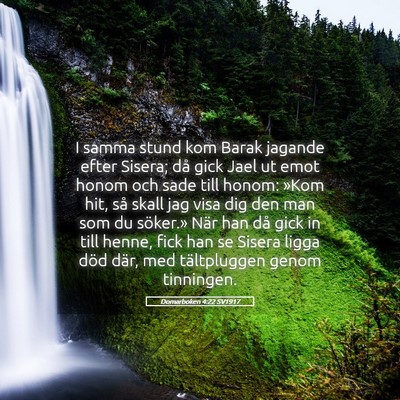 Picture 05 - Domarboken 4:22 SV1917 - I samma stund kom Barak jagande efter Sisera; då - Bible Verse Picture