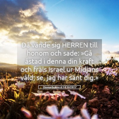 Picture 05 - Domarboken 6:14 SV1917 - Då vände sig HERREN till honom och sade: »Gå - Bible Verse Picture