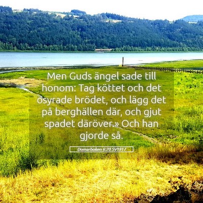 Picture 05 - Domarboken 6:20 SV1917 - Men Guds ängel sade till honom: Tag köttet och - Bible Verse Picture