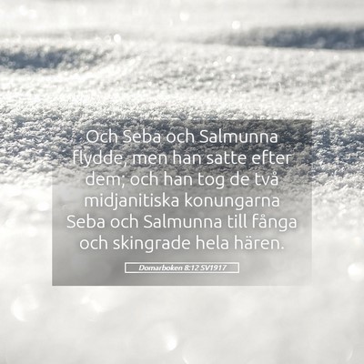 Picture 05 - Domarboken 8:12 SV1917 - Och Seba och Salmunna flydde, men han satte efter - Bible Verse Picture