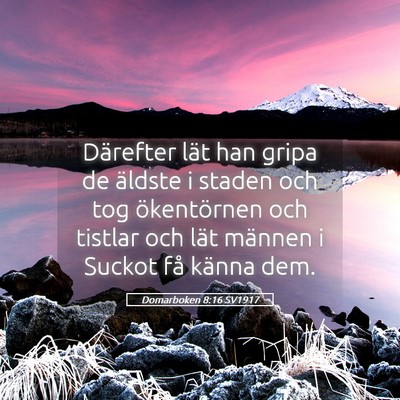 Picture 05 - Domarboken 8:16 SV1917 - Därefter lät han gripa de äldste i staden och - Bible Verse Picture