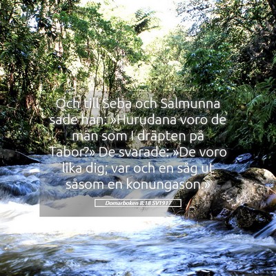 Picture 05 - Domarboken 8:18 SV1917 - Och till Seba och Salmunna sade han: »Hurudana - Bible Verse Picture