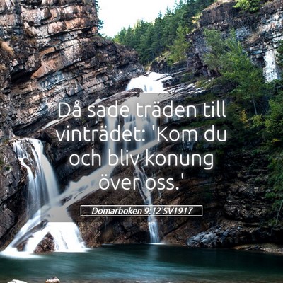 Picture 05 - Domarboken 9:12 SV1917 - Då sade träden till vinträdet: 'Kom du och - Bible Verse Picture