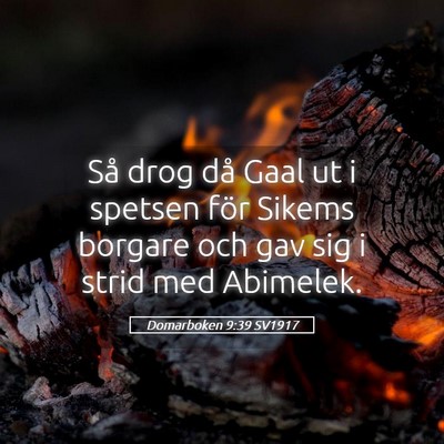 Picture 05 - Domarboken 9:39 SV1917 - Så drog då Gaal ut i spetsen för Sikems - Bible Verse Picture