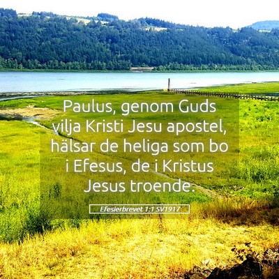 Picture 05 - Efesierbrevet 1:1 SV1917 - Paulus, genom Guds vilja Kristi Jesu apostel, - Bible Verse Picture