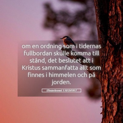 Picture 05 - Efesierbrevet 1:10 SV1917 - om en ordning som i tidernas fullbordan skulle - Bible Verse Picture