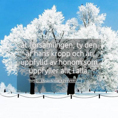 Picture 05 - Efesierbrevet 1:23 SV1917 - åt församlingen, ty den är hans kropp och är - Bible Verse Picture