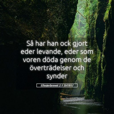 Picture 05 - Efesierbrevet 2:1 SV1917 - Så har han ock gjort eder levande, eder som - Bible Verse Picture