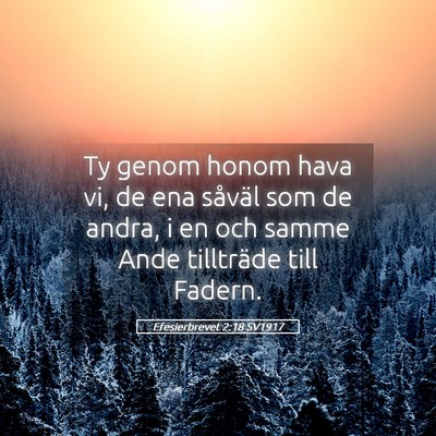 Picture 05 - Efesierbrevet 2:18 SV1917 - Ty genom honom hava vi, de ena såväl som de - Bible Verse Picture