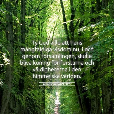 Picture 05 - Efesierbrevet 3:10 SV1917 - Ty Gud ville att hans mångfaldiga visdom nu, i - Bible Verse Picture