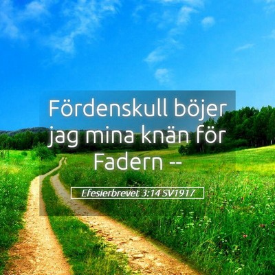 Picture 05 - Efesierbrevet 3:14 SV1917 - Fördenskull böjer jag mina knän för Fadern - Bible Verse Picture