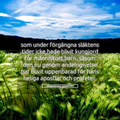 Picture 05 - Efesierbrevet 3:5 SV1917 - som under förgångna släktens tider icke hade - Bible Verse Picture
