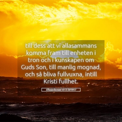 Picture 05 - Efesierbrevet 4:13 SV1917 - till dess att vi allasammans komma fram till - Bible Verse Picture