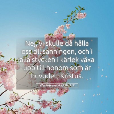 Picture 05 - Efesierbrevet 4:15 SV1917 - Nej, vi skulle då hålla oss till sanningen, och - Bible Verse Picture