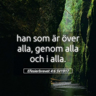 Picture 05 - Efesierbrevet 4:6 SV1917 - han som är över alla, genom alla och i - Bible Verse Picture