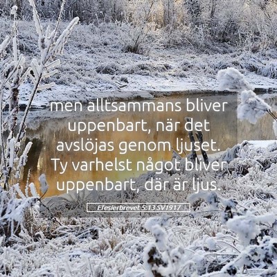 Picture 05 - Efesierbrevet 5:13 SV1917 - men alltsammans bliver uppenbart, när det - Bible Verse Picture