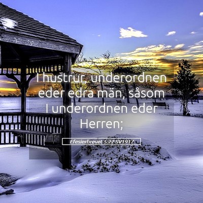 Picture 05 - Efesierbrevet 5:22 SV1917 - I hustrur, underordnen eder edra män, såsom I - Bible Verse Picture