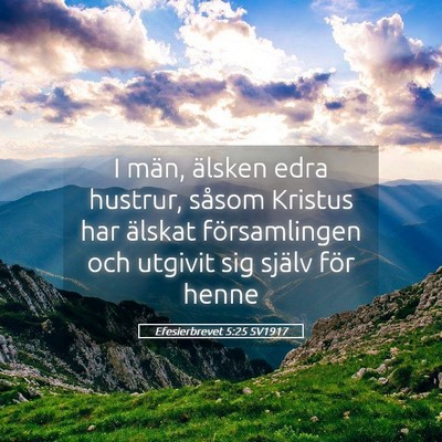 Picture 05 - Efesierbrevet 5:25 SV1917 - I män, älsken edra hustrur, såsom Kristus har - Bible Verse Picture