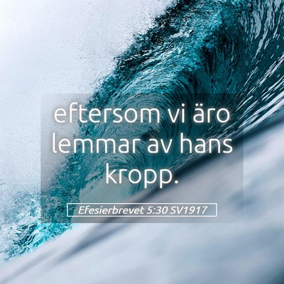 Picture 05 - Efesierbrevet 5:30 SV1917 - eftersom vi äro lemmar av hans - Bible Verse Picture