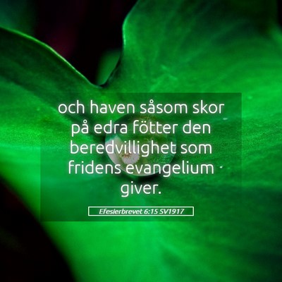 Picture 05 - Efesierbrevet 6:15 SV1917 - och haven såsom skor på edra fötter den - Bible Verse Picture