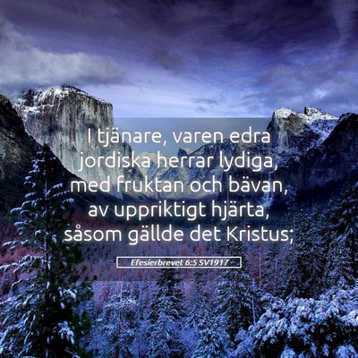 Picture 05 - Efesierbrevet 6:5 SV1917 - I tjänare, varen edra jordiska herrar lydiga, - Bible Verse Picture
