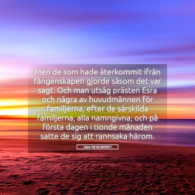 Picture 05 - Esra 10:16 SV1917 - Men de som hade återkommit ifrån fångenskapen - Bible Verse Picture