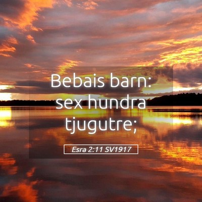 Picture 05 - Esra 2:11 SV1917 - Bebais barn: sex hundra - Bible Verse Picture