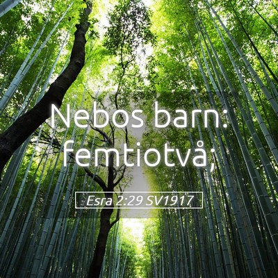 Picture 05 - Esra 2:29 SV1917 - Nebos barn: - Bible Verse Picture