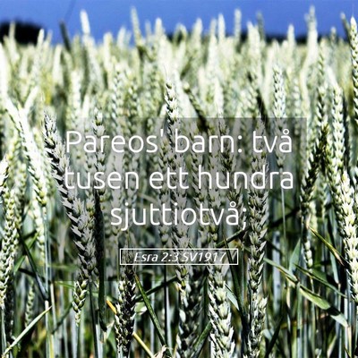 Picture 05 - Esra 2:3 SV1917 - Pareos' barn: två tusen ett hundra - Bible Verse Picture