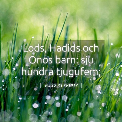 Picture 05 - Esra 2:33 SV1917 - Lods, Hadids och Onos barn: sju hundra - Bible Verse Picture